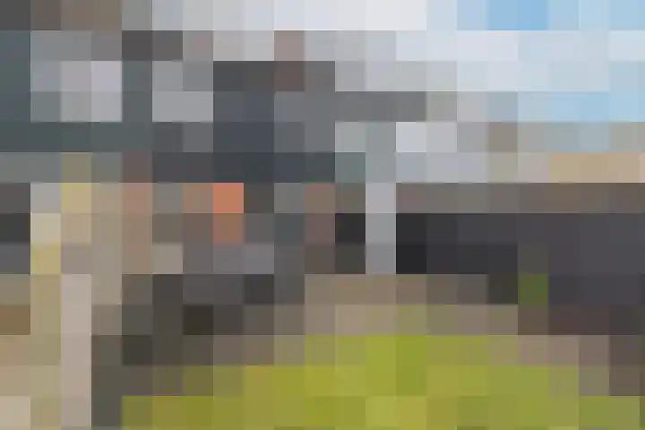 Haringbuis 58 De Rijp thumbnail 49