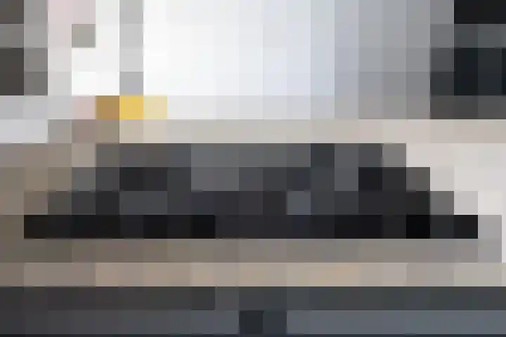 Haringbuis 60 De Rijp thumbnail 11