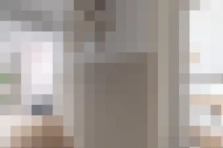 Haringbuis 60 De Rijp thumbnail 13