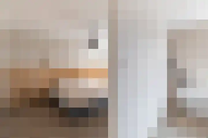 Haringbuis 60 De Rijp thumbnail 15