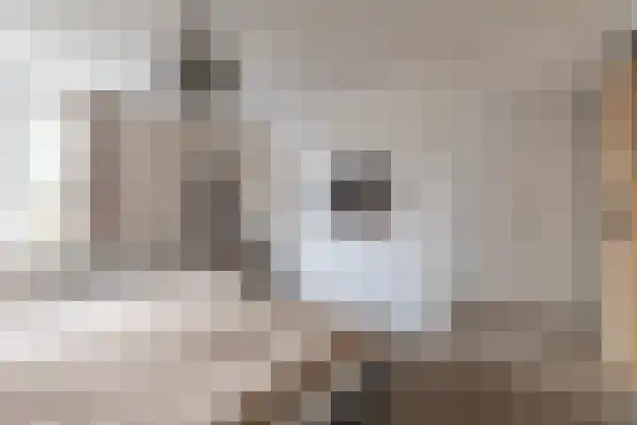 Haringbuis 60 De Rijp thumbnail 16