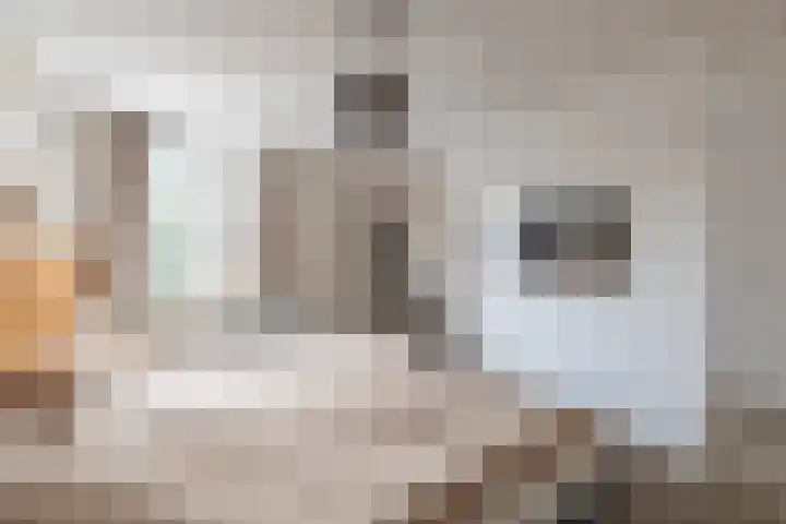 Haringbuis 60 De Rijp thumbnail 18