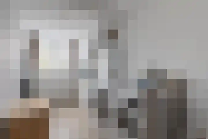 Haringbuis 60 De Rijp thumbnail 31