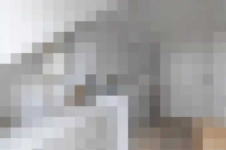 Haringbuis 60 De Rijp thumbnail 32