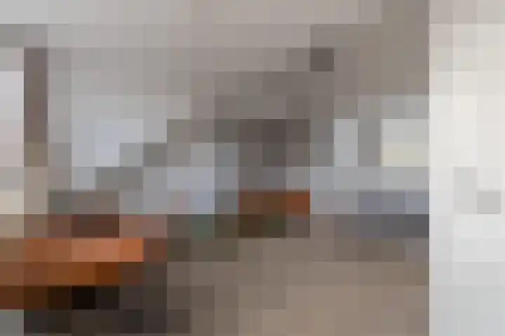 Haringbuis 60 De Rijp thumbnail 33