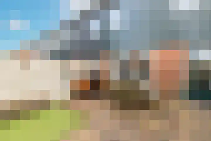 Haringbuis 60 De Rijp thumbnail 37