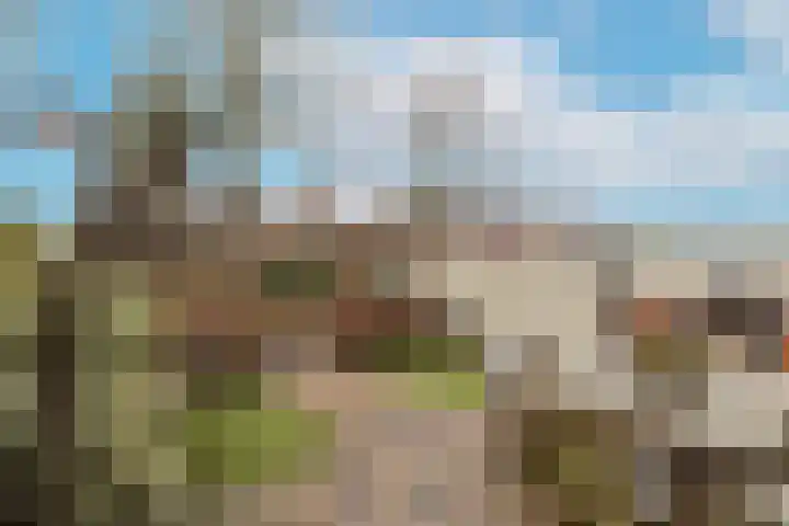 Haringbuis 60 De Rijp thumbnail 38