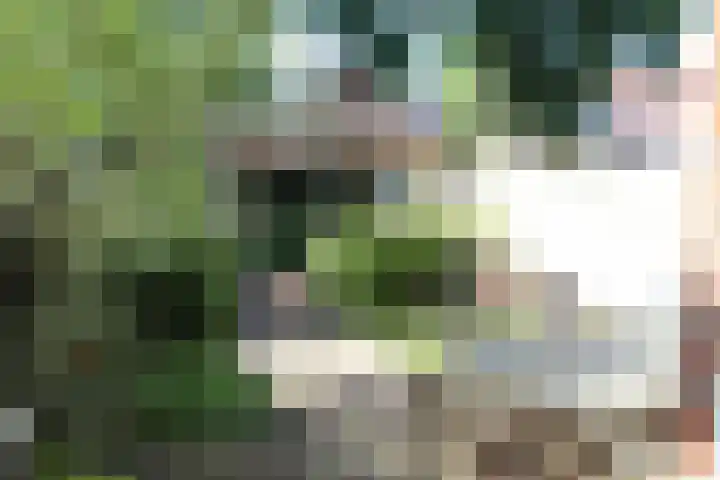 Haringbuis 60 De Rijp thumbnail 39