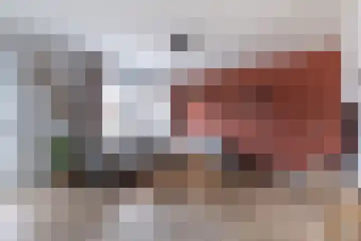 Haringbuis 60 De Rijp thumbnail 4
