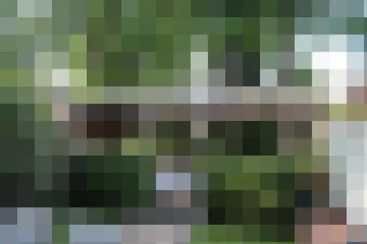 Haringbuis 60 De Rijp thumbnail 42