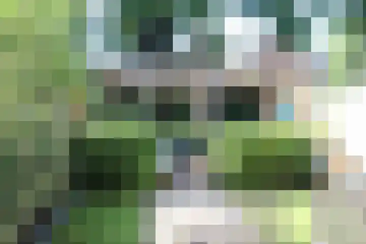 Haringbuis 60 De Rijp thumbnail 43