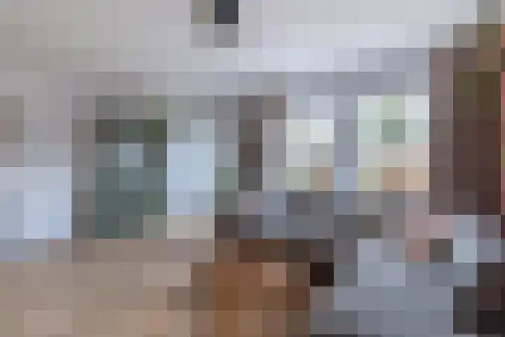Haringbuis 60 De Rijp thumbnail 5