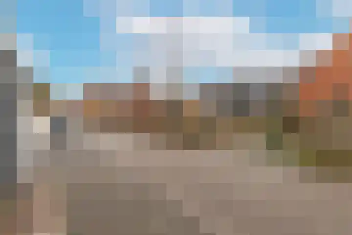 Haringbuis 60 De Rijp thumbnail 51