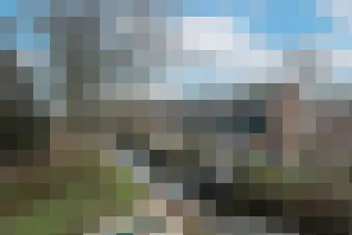 Haringbuis 60 De Rijp thumbnail 52