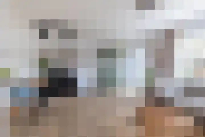 Haringbuis 60 De Rijp thumbnail 6