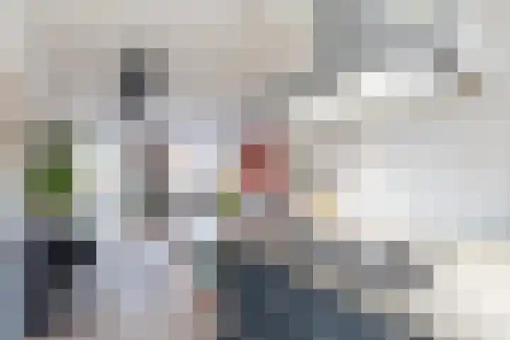 Haringbuis 60 De Rijp thumbnail 8