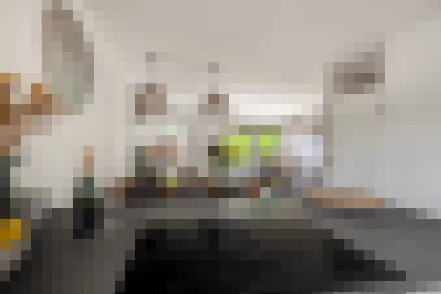 Haringbuis 64 De Rijp thumbnail 14