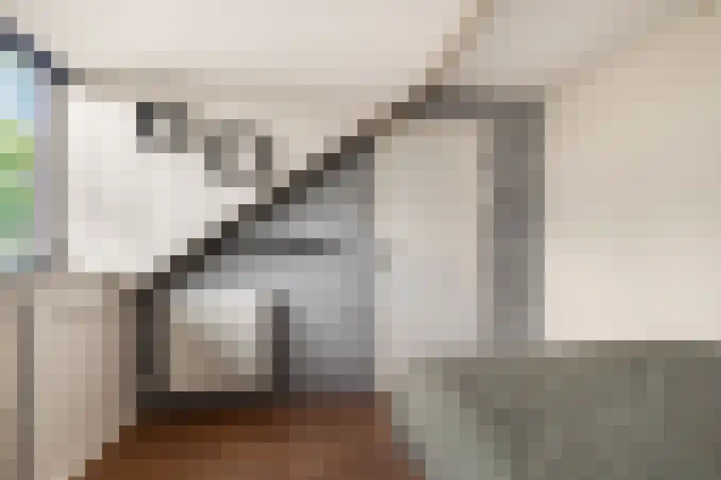 Haringbuis 64 De Rijp thumbnail 32