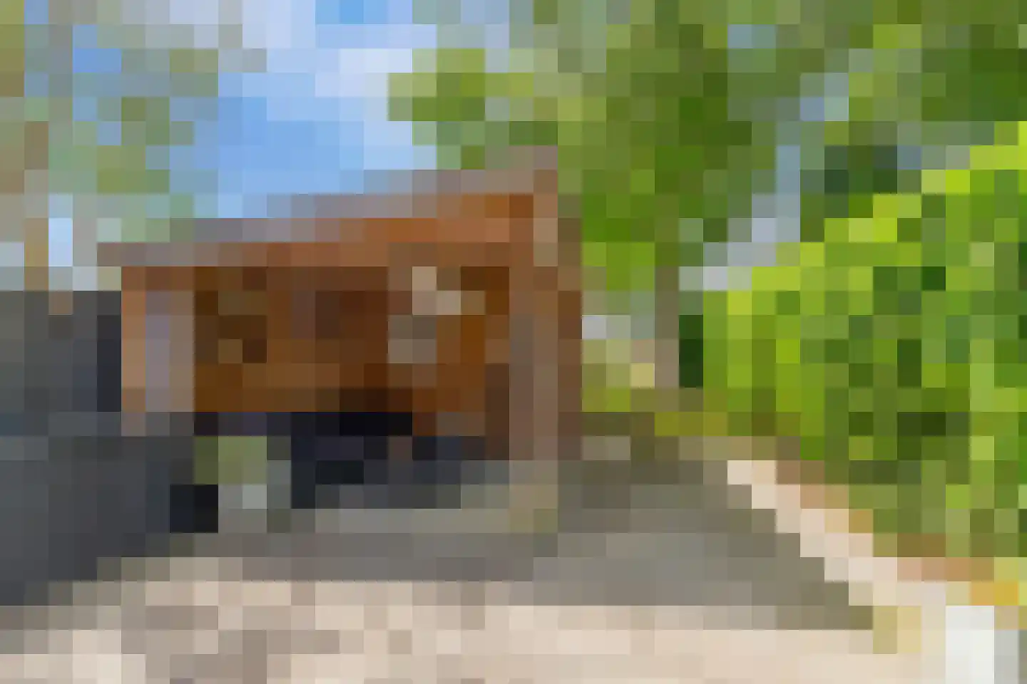Haringbuis 64 De Rijp thumbnail 36