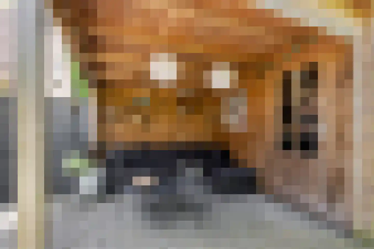 Haringbuis 64 De Rijp thumbnail 38