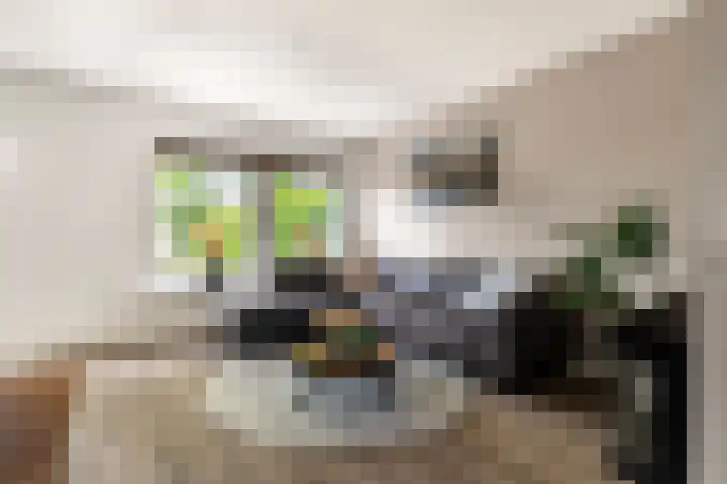 Haringbuis 64 De Rijp thumbnail 4