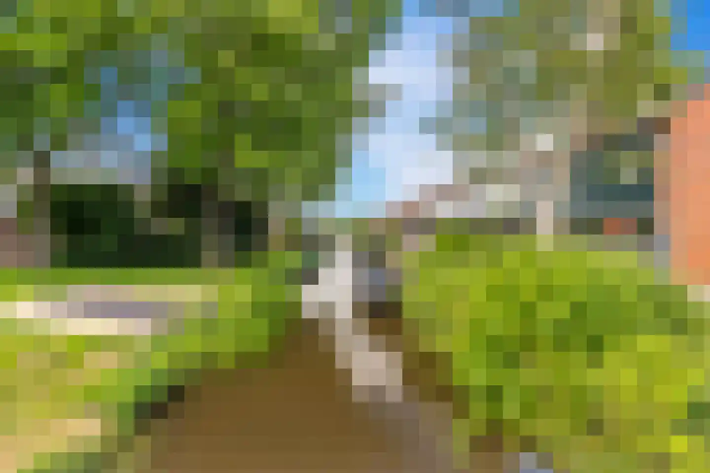 Haringbuis 64 De Rijp thumbnail 41