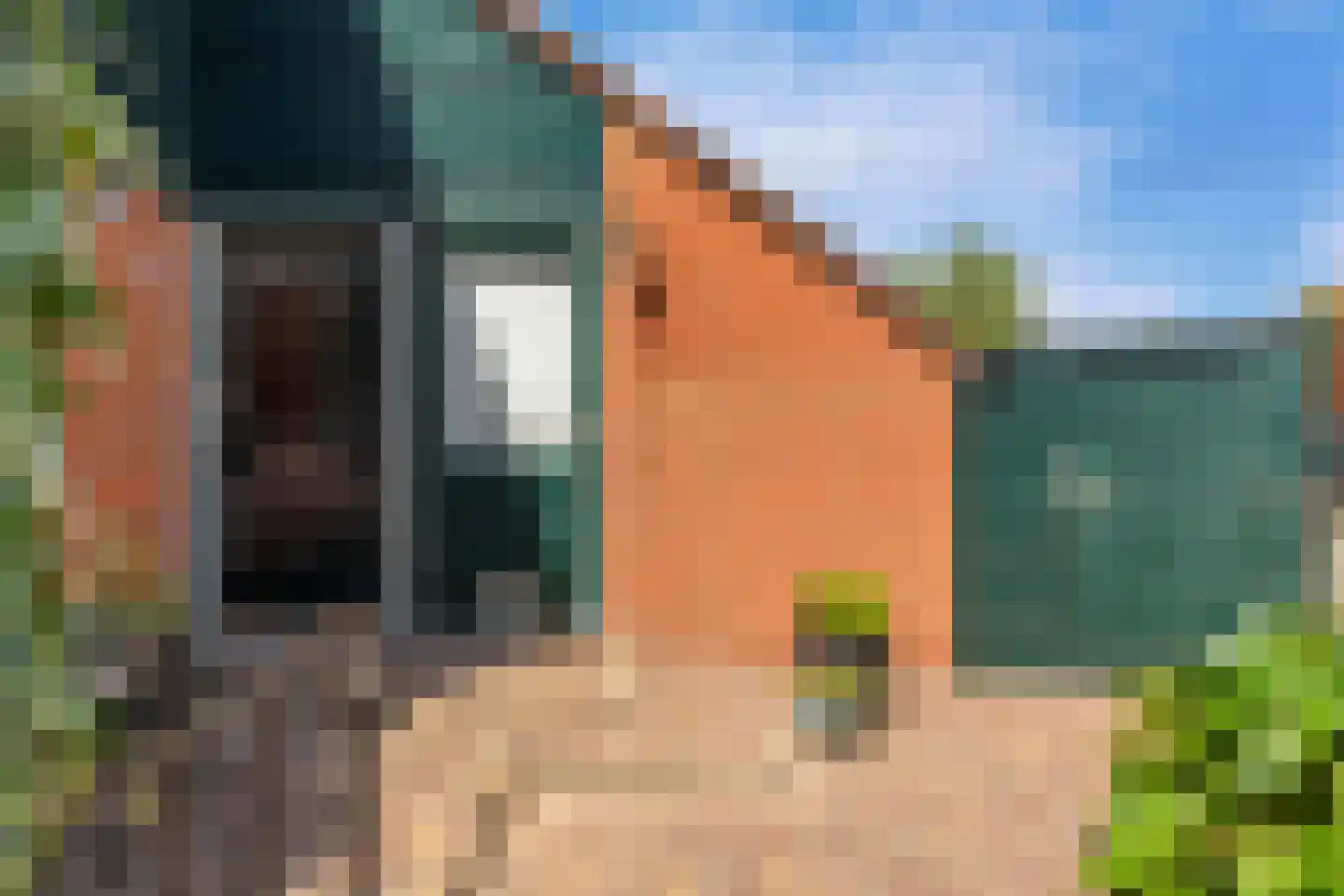 Haringbuis 64 De Rijp thumbnail 44