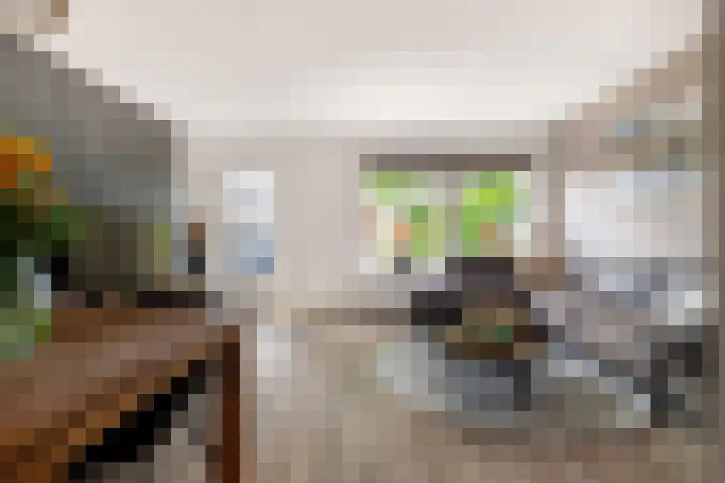 Haringbuis 64 De Rijp thumbnail 5