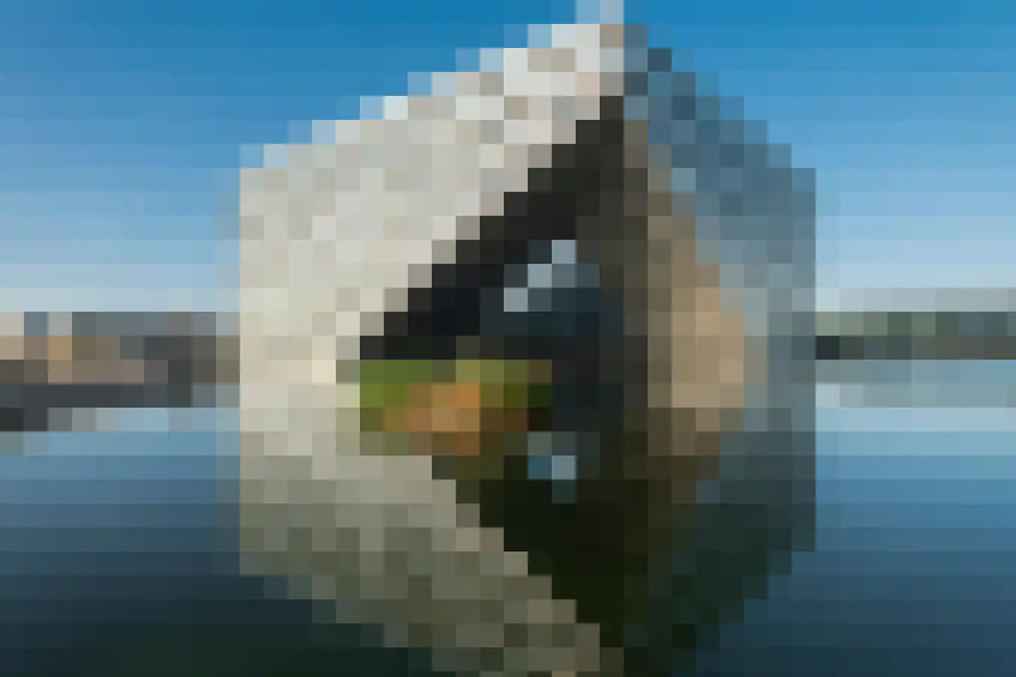 Haringbuisdijk 269 Amsterdam thumbnail 4