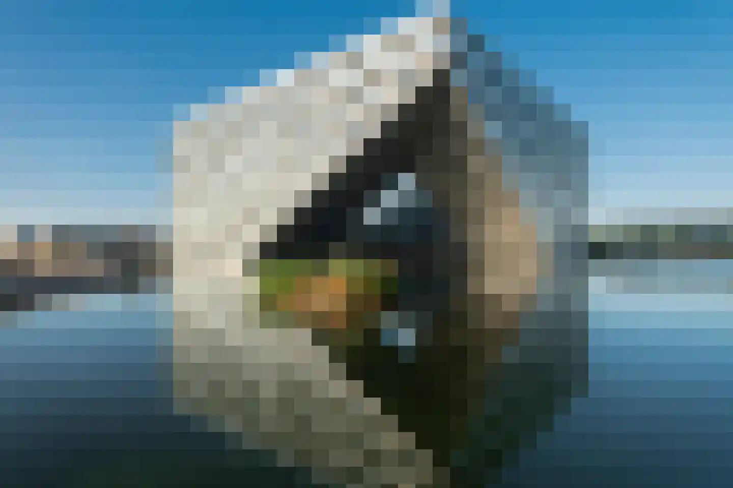 Haringbuisdijk 269 Amsterdam thumbnail 4
