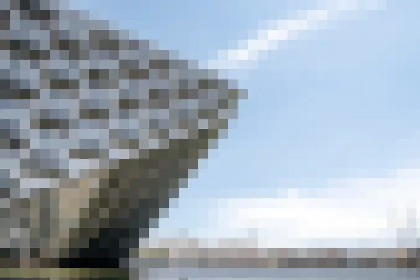 Haringbuisdijk 887 Amsterdam thumbnail 30