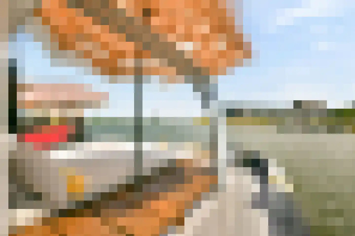 Haringbuisdijk 995 Amsterdam thumbnail 22