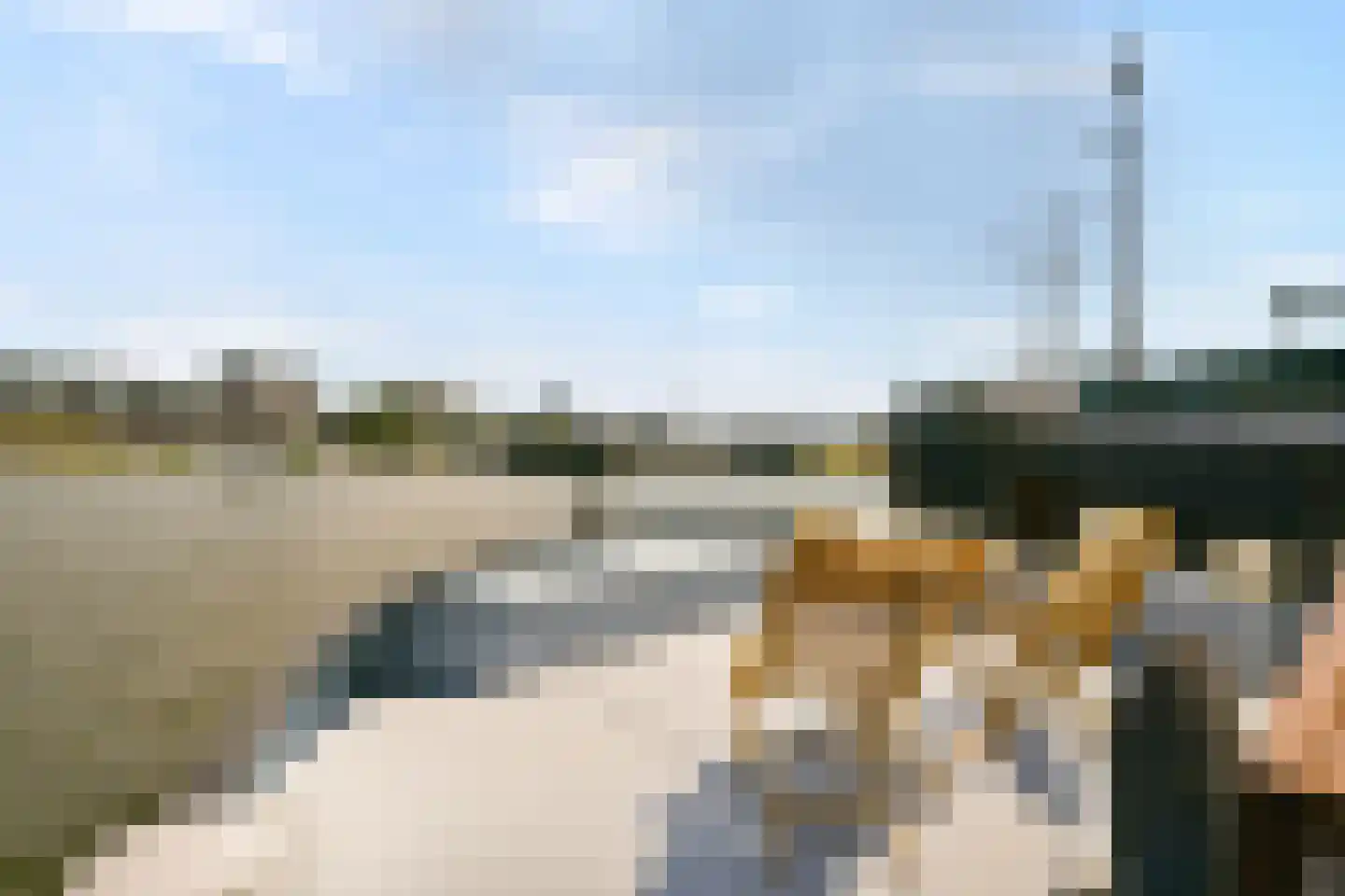 Haringbuisdijk 995 Amsterdam thumbnail 4