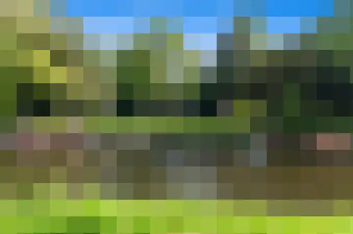 Haringkade 129 A Den Haag thumbnail 4