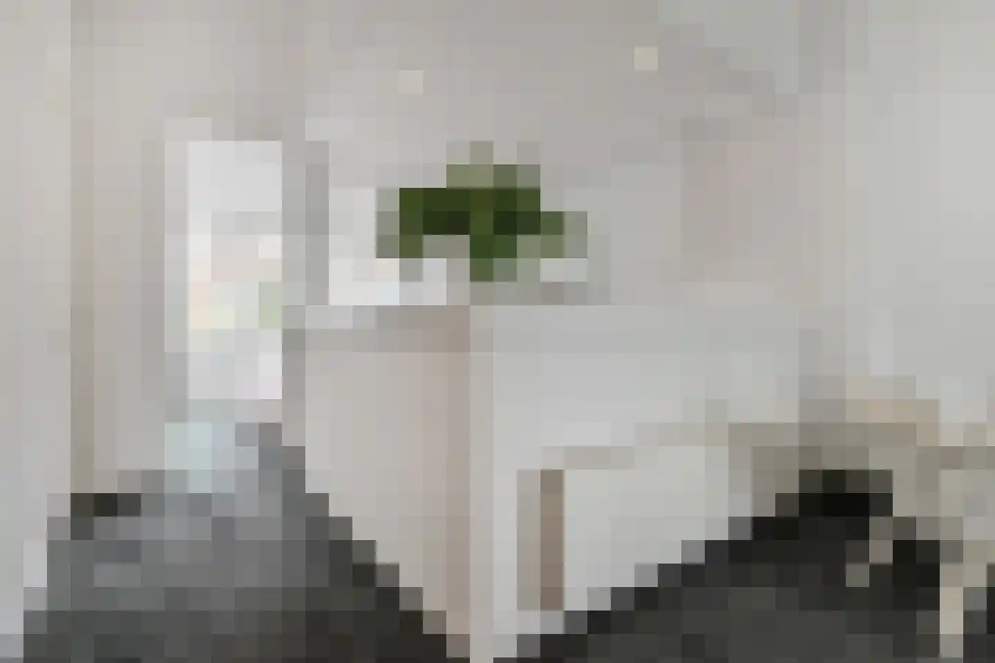 Haringkade 147 A Den Haag thumbnail 15
