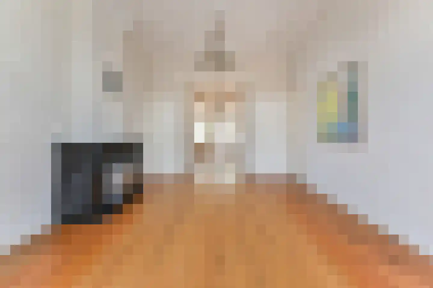Haringkade 149 Den Haag thumbnail 38