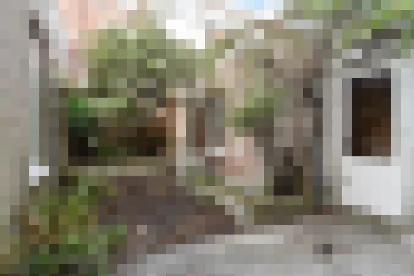 Haringkade 149 Den Haag thumbnail 57