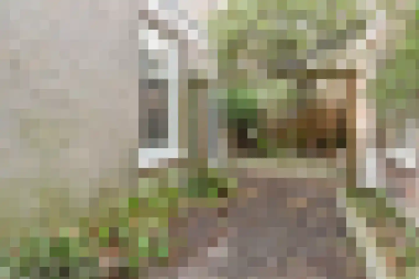 Haringkade 149 Den Haag thumbnail 58