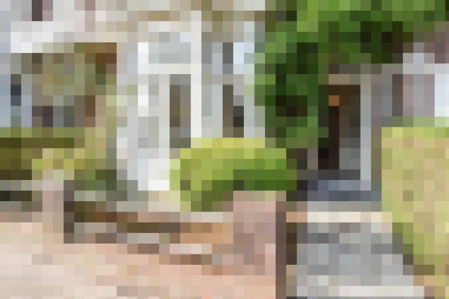 Haringkade 149 Den Haag thumbnail 7
