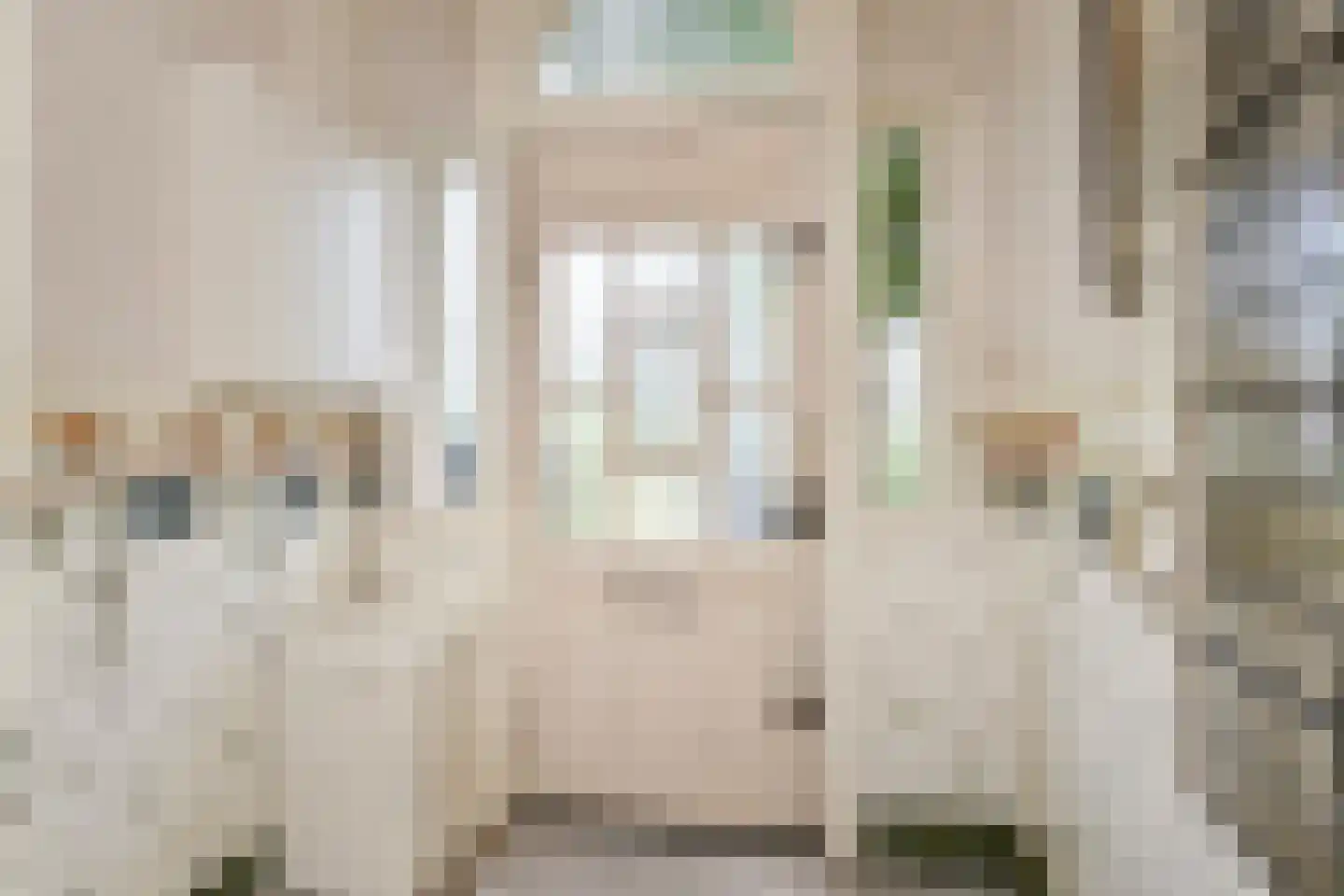 Haringkade 149 Den Haag thumbnail 8