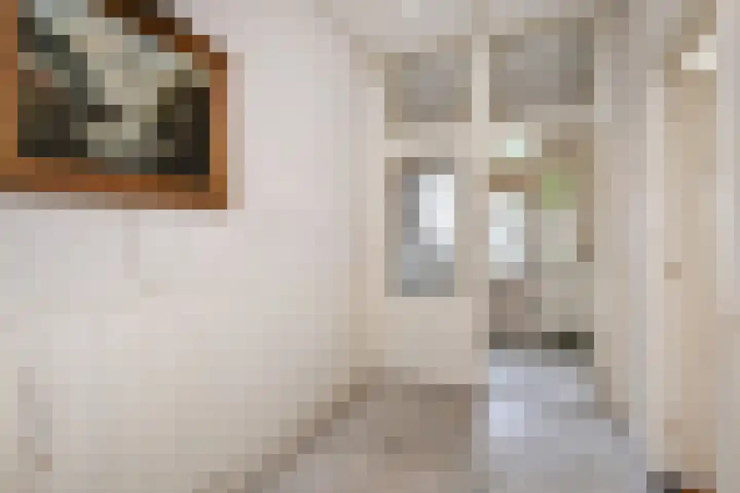 Haringkade 149 Den Haag thumbnail 9