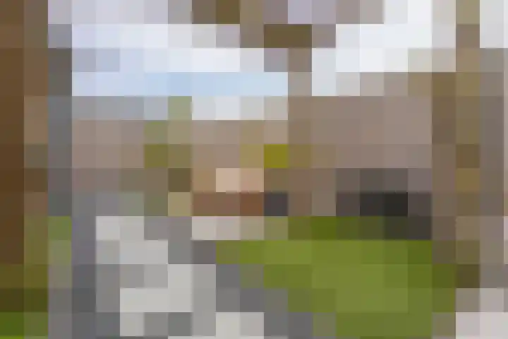 Haringkade 25 Katwijk thumbnail 32