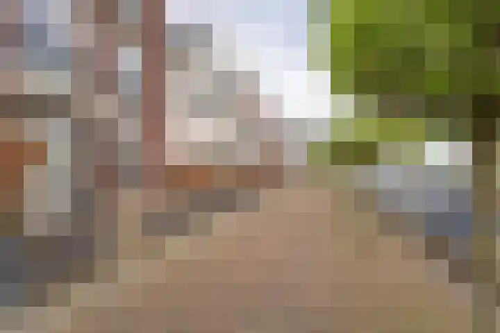 Haringkade 25 Katwijk thumbnail 37