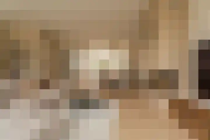 Haringkade 25 Katwijk thumbnail 6