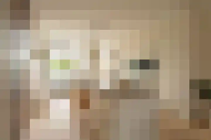 Haringkade 25 Katwijk thumbnail 7