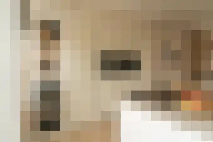 Haringkade 25 Katwijk thumbnail 8