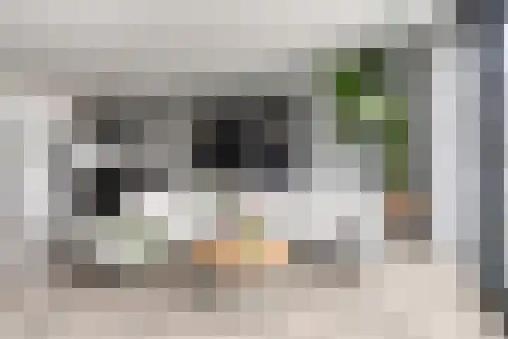 Haringkade 39 Katwijk thumbnail 13