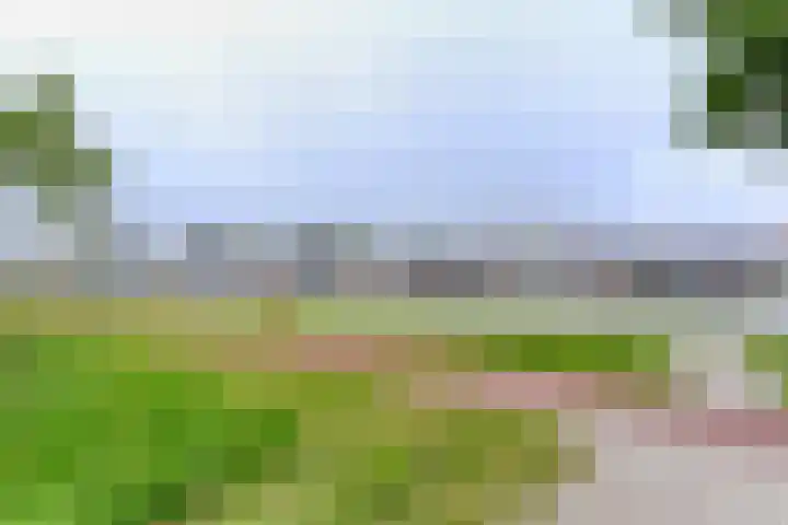 Haringkade 39 Katwijk thumbnail 42