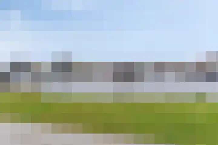 Haringkade 39 Katwijk thumbnail 43