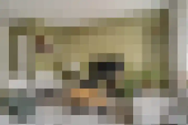 Haringkade 43 Katwijk thumbnail 11